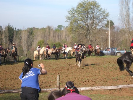 Pruebas de habilidad de los  jinetes